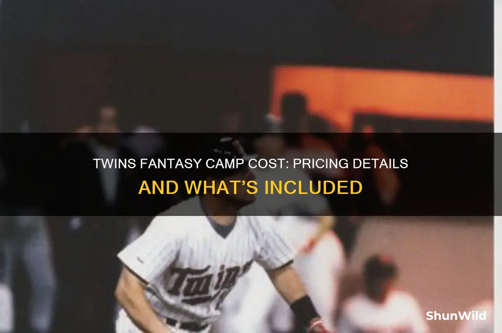 how much does twins fantasy camp cost