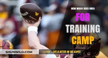 Understanding UDFA Training Camp Costs: A Comprehensive Financial Breakdown