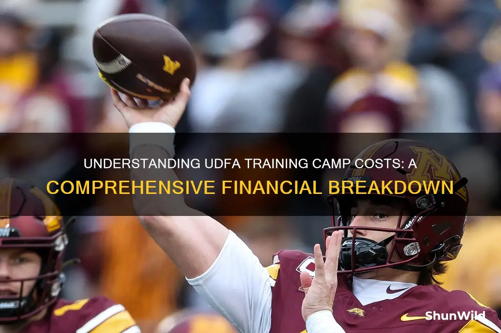how much does udfa for training camp