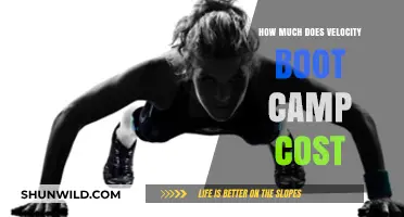 Velocity Boot Camp Cost: Pricing Details and Value Breakdown