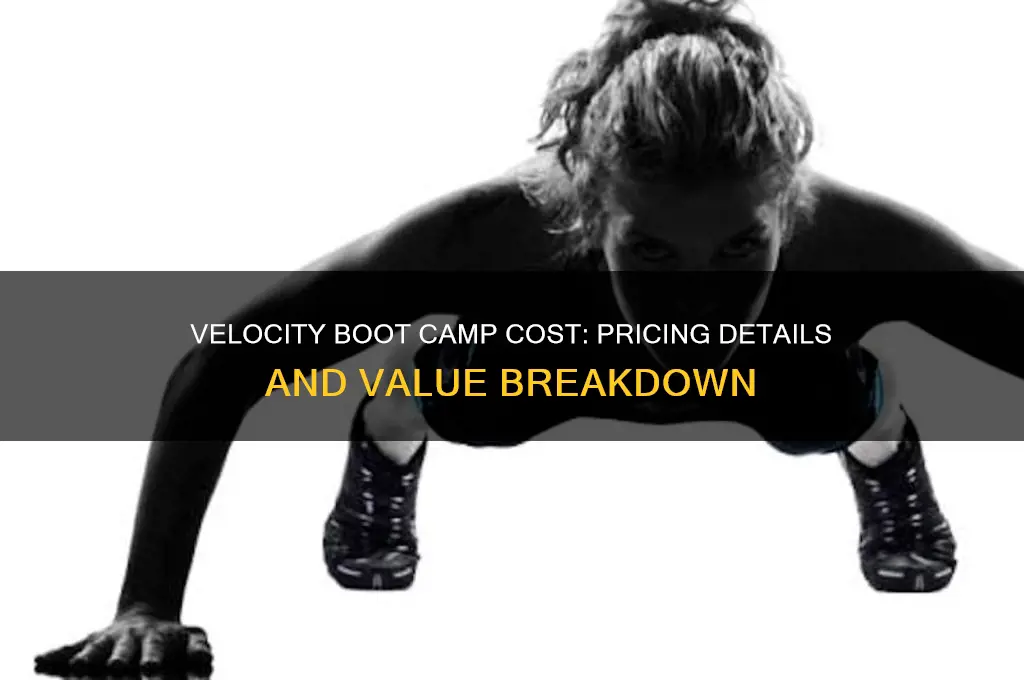 how much does velocity boot camp cost