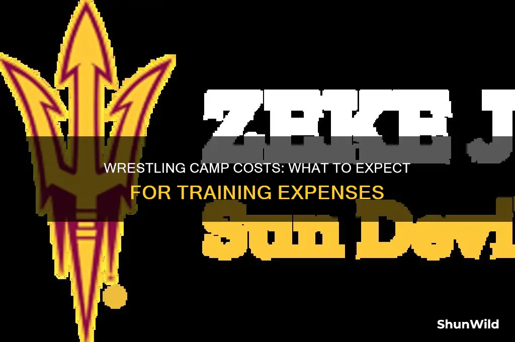 how much does wrestling camp cost