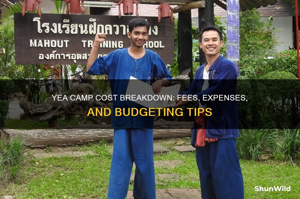 how much does yea camp cost