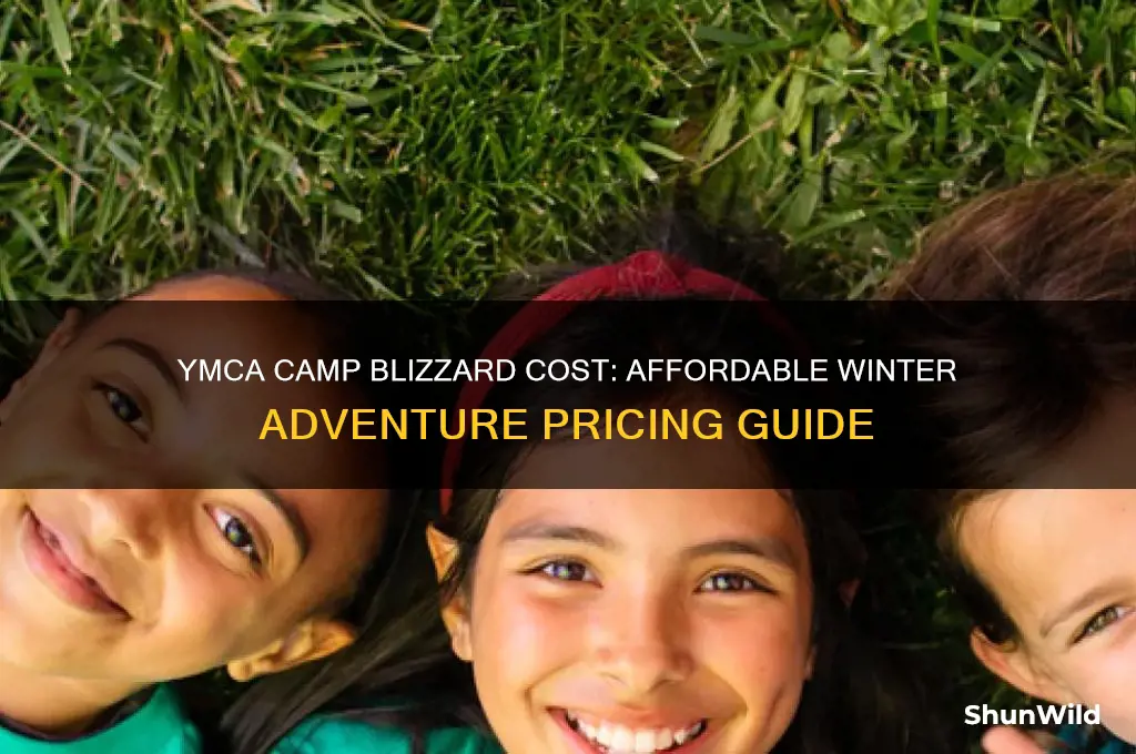 how much does ymca camp blizzard cost