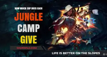 Jungle Camp EXP Guide: How Much Does Each Camp Give?