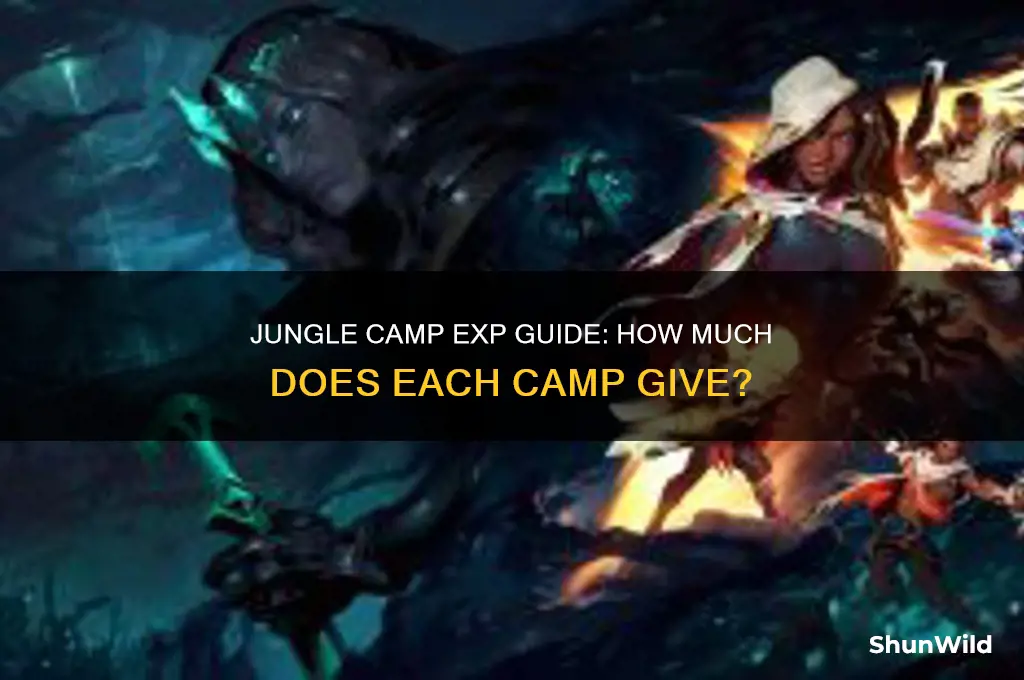 how much exp does each jungle camp give