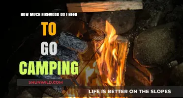Essential Firewood Guide: How Much to Pack for Camping Trips