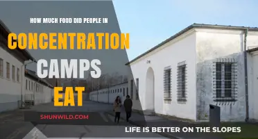 Daily Rations in Concentration Camps: A Grim Look at Survival