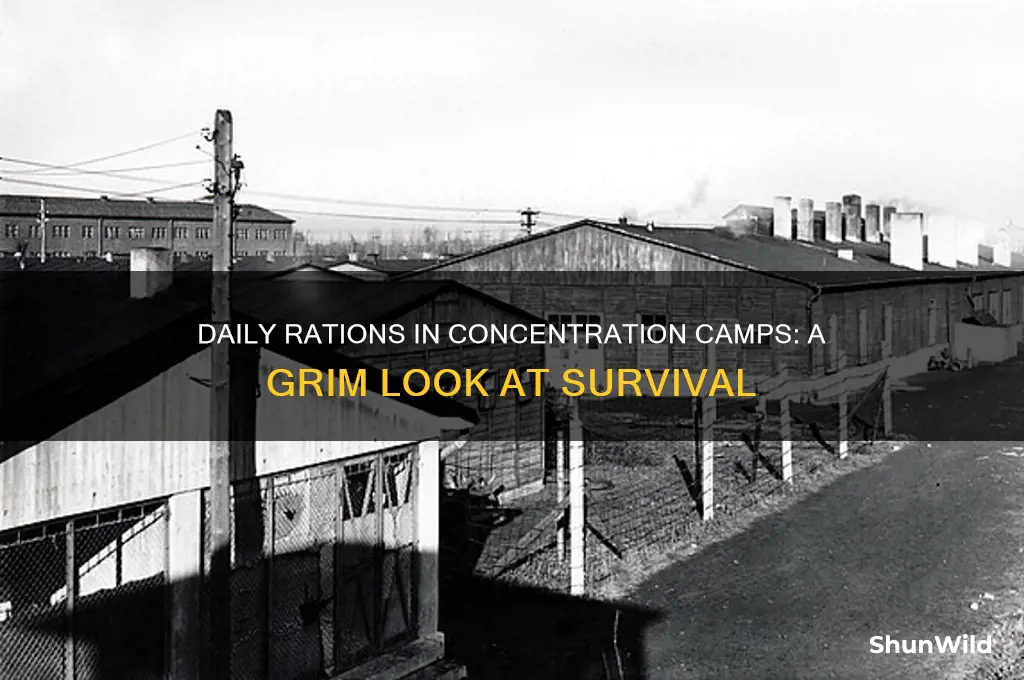 how much food did people in concentration camps eat