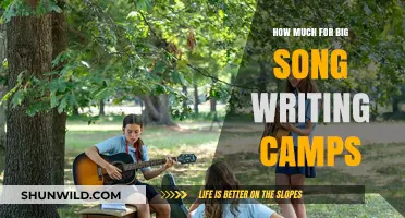 Unlocking the Cost of Exclusive Big Songwriting Camps: What to Expect