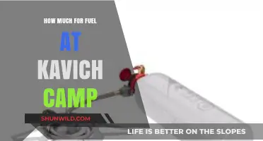 Fuel Costs at Kavich Camp: What to Expect for Your Budget