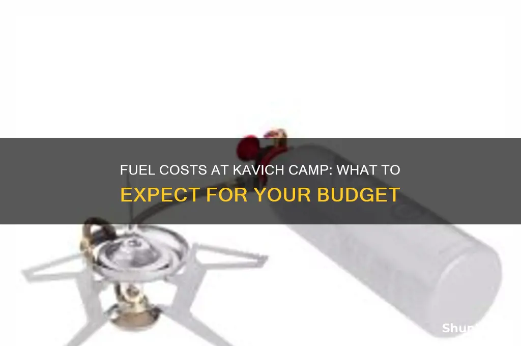 how much for fuel at kavich camp