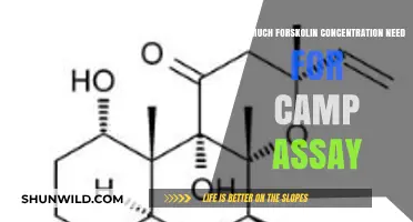 Optimal Forskolin Concentration for Accurate cAMP Assay Results