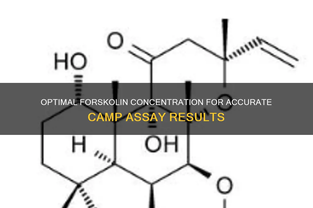 how much forskolin concentration need for camp assay