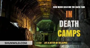 Nazi Gold Plunder: The Horrific Toll of Death Camp Looting