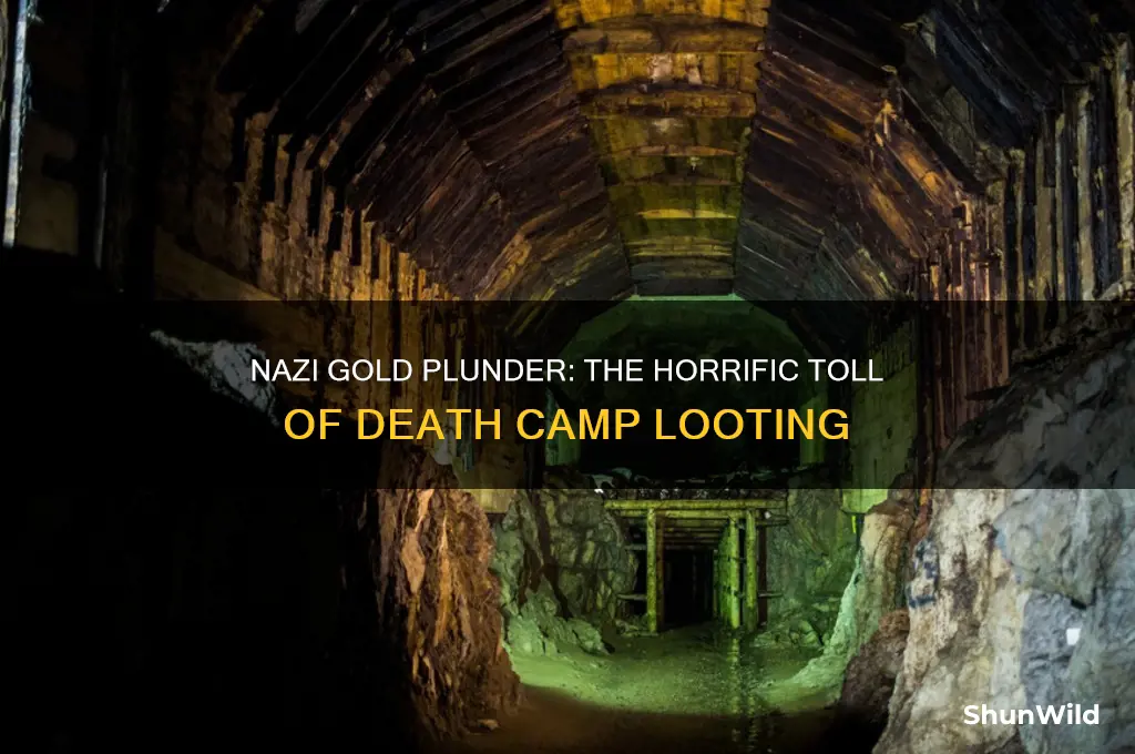 how much gold did the nazis take in death camps