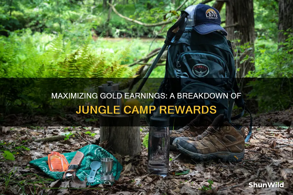 how much gold do you earn in each jg camp