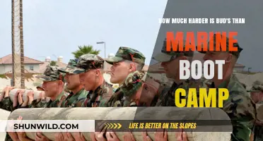 Bud/s vs. Marine Boot Camp: Which Challenge Tests You Harder?
