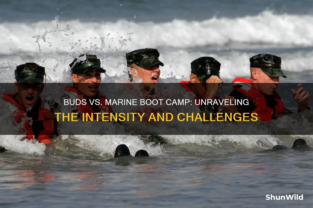 how much harder is buds than marine boot camp