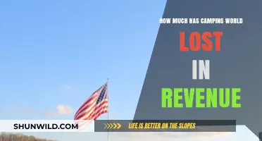 Camping World Revenue Plunge: Analyzing the Financial Decline