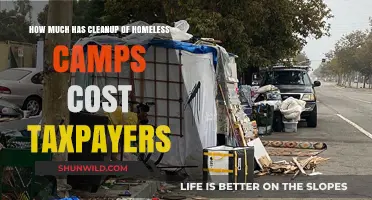 Taxpayer Burden: The Rising Cost of Homeless Camp Cleanups