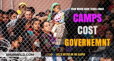 Texas Child Camps: Analyzing Government Expenditure and Financial Impact