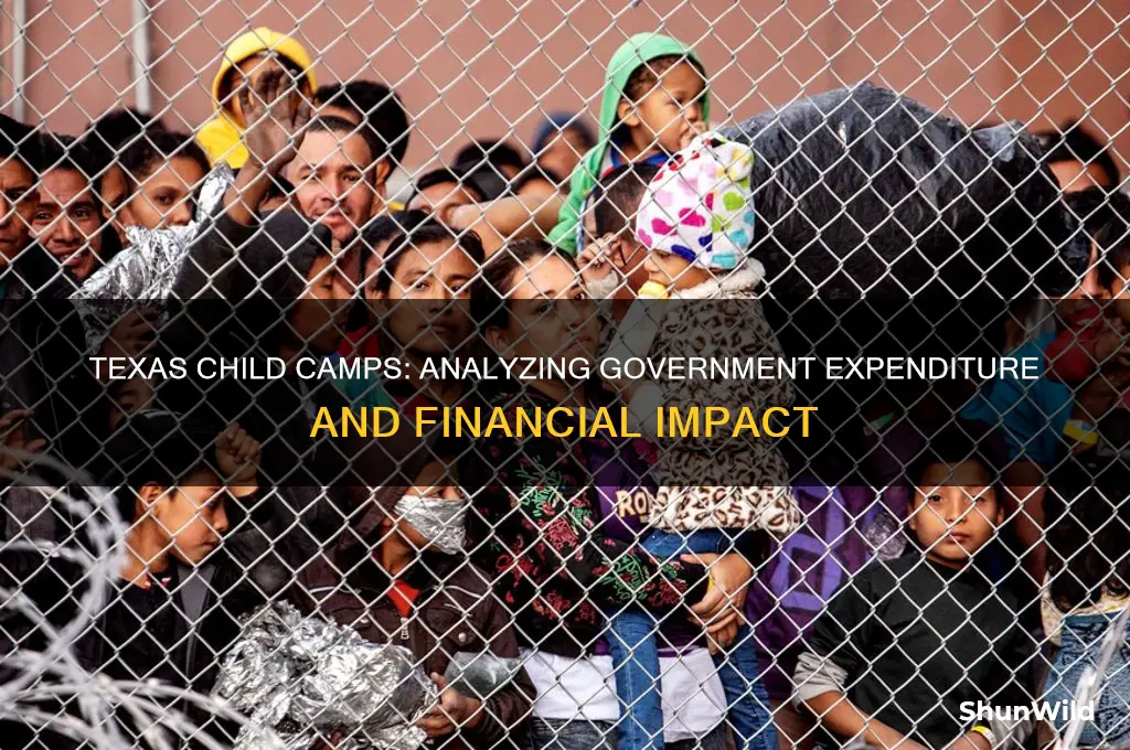 how much have texas child camps cost governemnt