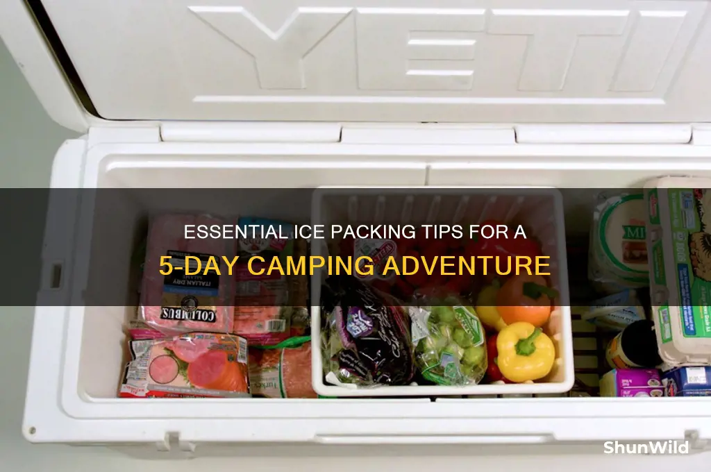 how much ice for 5 days camping