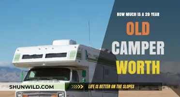Valuing Your Vintage Camper: What's a 20-Year-Old RV Worth?