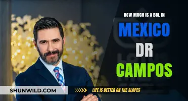 BBL Cost in Mexico: Dr. Campos' Pricing Guide Revealed