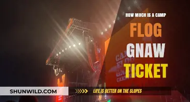 Camp Flog Gnaw Ticket Prices: What to Expect and How to Buy