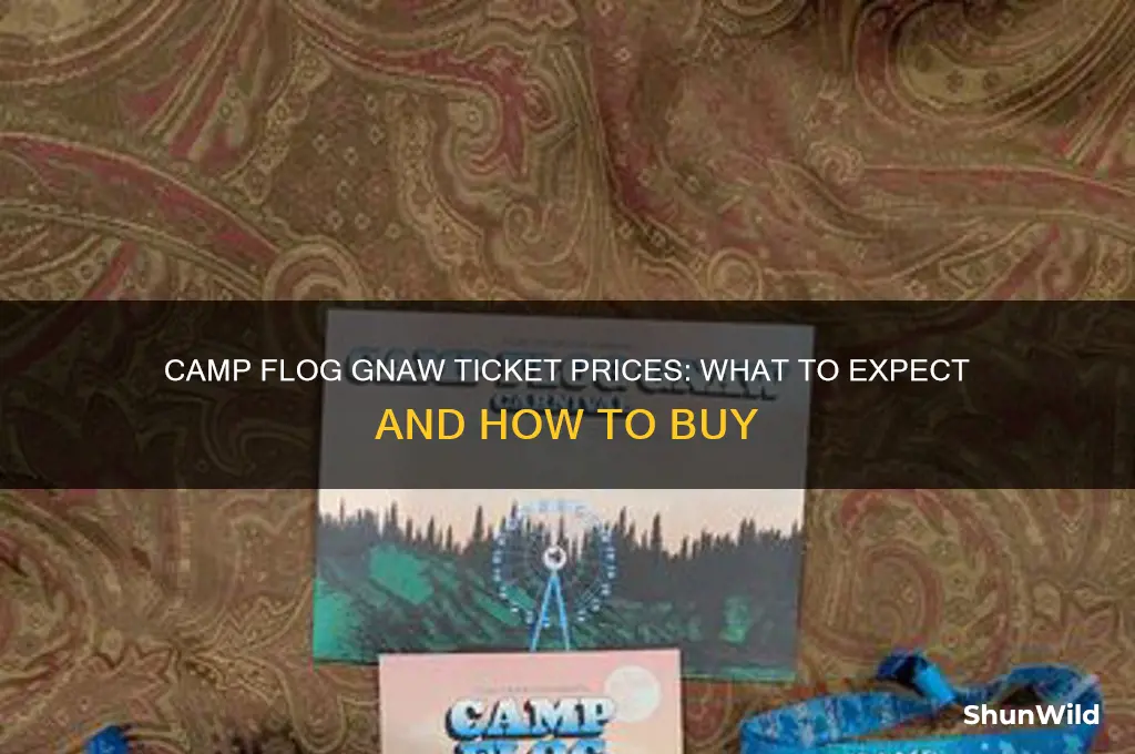 how much is a camp flog gnaw ticket