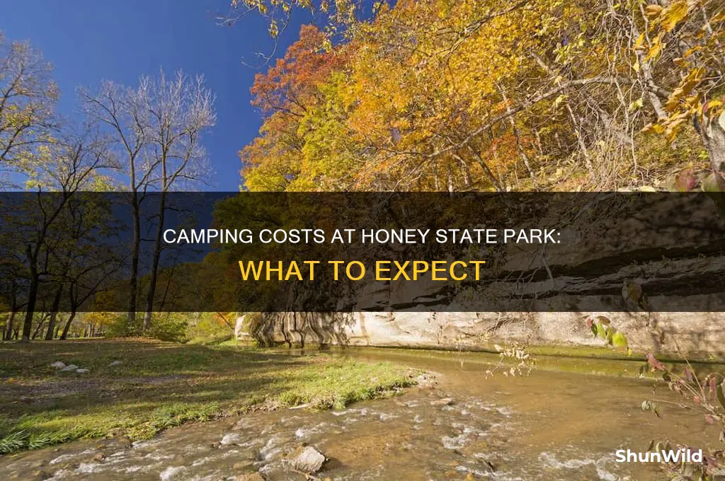 how much is a camp site at honey state park