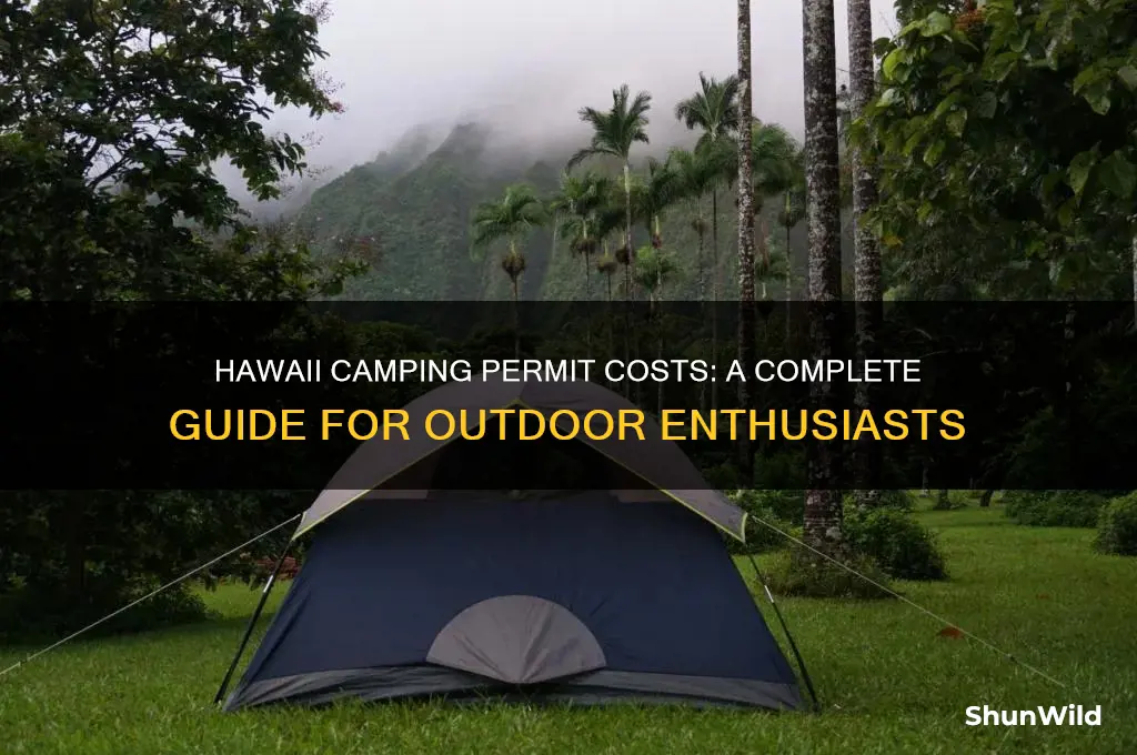 how much is a camping permit in hawaii