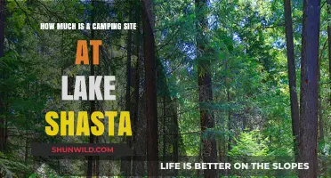 Lake Shasta Camping Costs: Affordable Site Prices for Your Outdoor Adventure