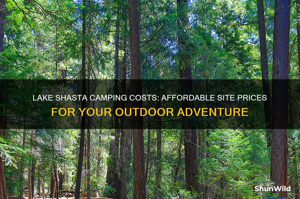 how much is a camping site at lake shasta