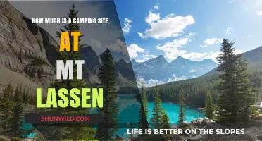 Discover Affordable Camping Rates at Mt. Lassen National Park