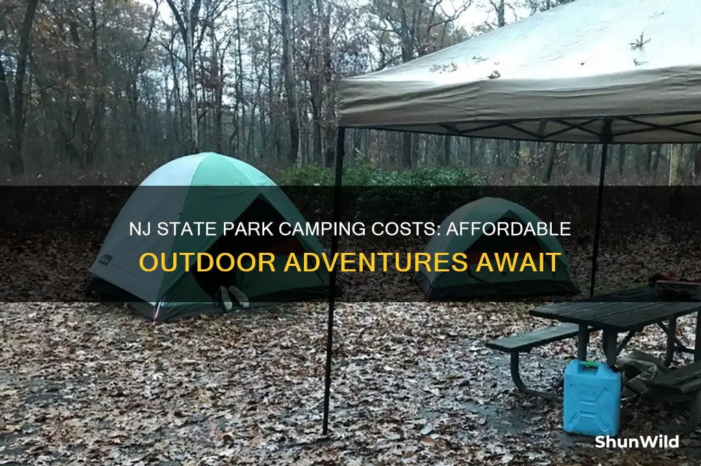 how much is a camping spot in state nj park