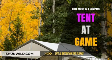 Affordable Camping Tents at Game: Prices and Best Deals Revealed