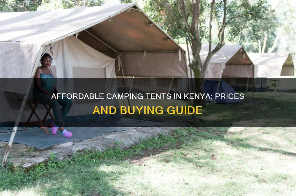 how much is a camping tent in kenya