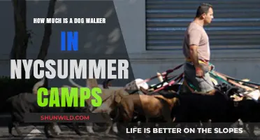 NYC Summer Camps: Dog Walker Costs and What to Expect