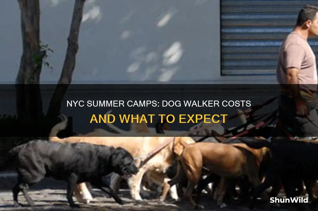 how much is a dog walker in nycsummer camps