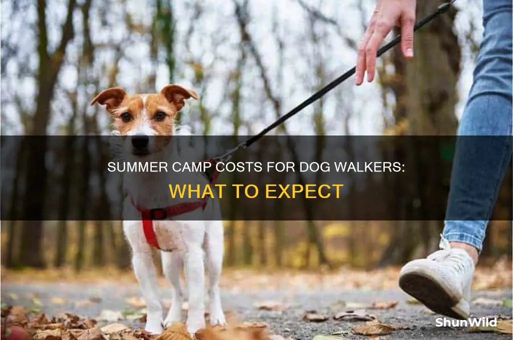 how much is a dog walkersummer camps