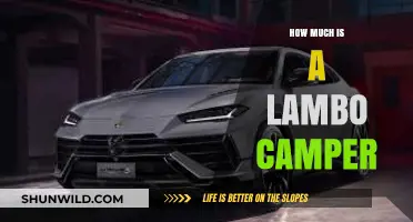 Lambo Camper Price: How Much Does This Luxury RV Cost?