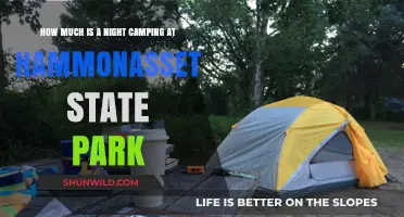 Camping at Hammonasset State Park: Nightly Costs and Tips