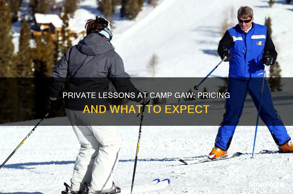 how much is a private lesson at camp gaw