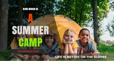 Summer Camp Costs: Budgeting for Your Child's Adventure