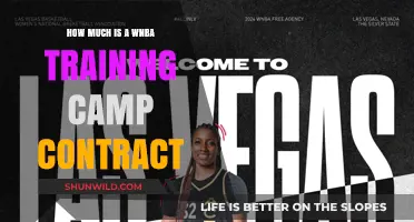 WNBA Training Camp Contracts: Understanding the Financial Details