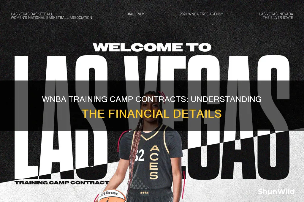 how much is a wnba training camp contract