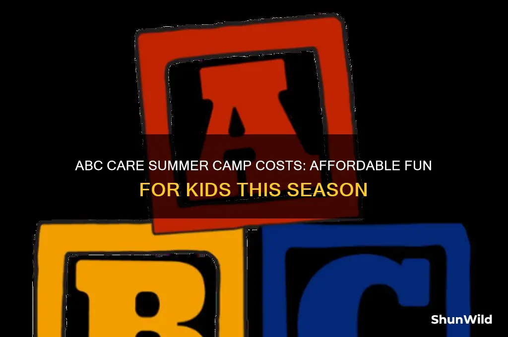 how much is abc care summer camp